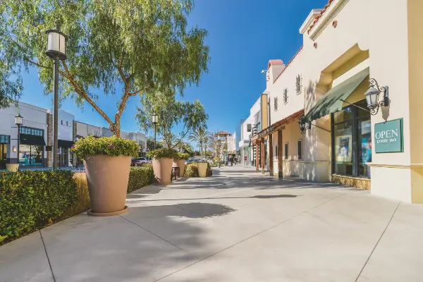 commercial shops with trees